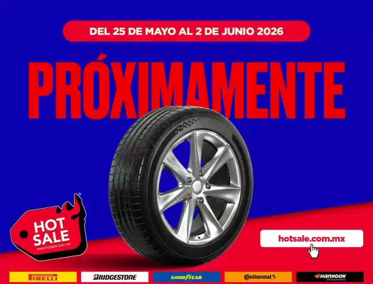 Radial Llantas (válido hasta 2-06)