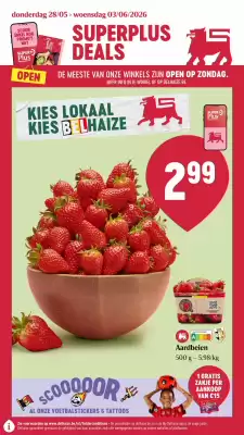 AD Delhaize (geldig t/m 3-06)