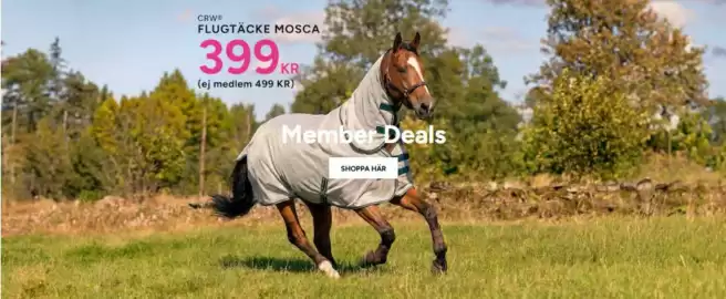 Hööks reklamblad Sida 1
