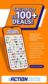 Action Flugblatt woche 22 Seite 34