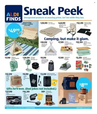 Aldi (valid until 9-06)