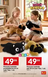 Twój Market gazetka tydzień 22 Strona 9