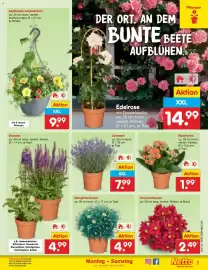 Netto Marken-Discount Prospekt woche 23 Seite 7