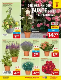Netto Marken-Discount Prospekt woche 23 Seite 7