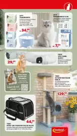 Zookauf Prospekt woche 22 Seite 3