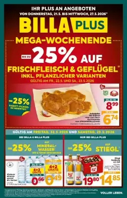Billa Flugblatt