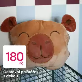 Pepco leták Strana 3