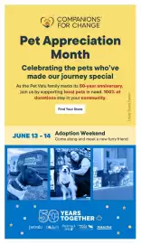 Bosley's flyer Page 13