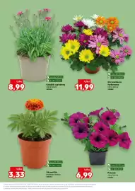 Kaufland gazetka tydzień 22 Strona 11