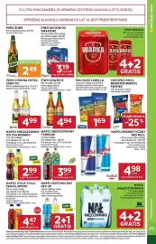 Stokrotka gazetka Strona 31