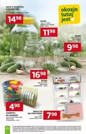 Stokrotka gazetka Strona 42