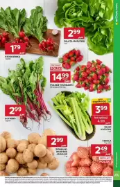Stokrotka Market gazetka Strona 7