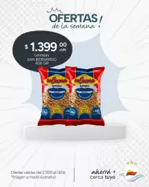 Catálogo El Milagro Mayorista semana 22 Página 13