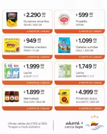 Catálogo El Milagro Mayorista semana 22 Página 14