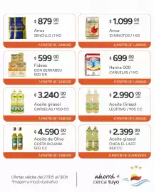 Catálogo El Milagro Mayorista semana 22 Página 7