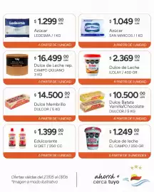 Catálogo El Milagro Mayorista semana 22 Página 8