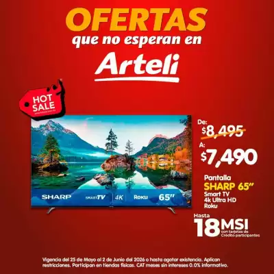 Arteli (válido hasta 2-06)