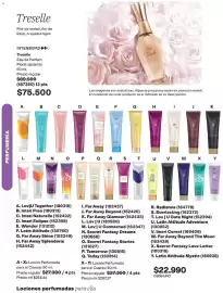 Catálogo Avon Página 105