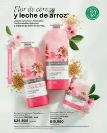 Catálogo Avon Página 193
