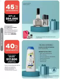 Catálogo Avon Página 45
