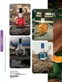 Catálogo Avon Página 97