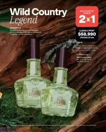 Catálogo Avon Página 98