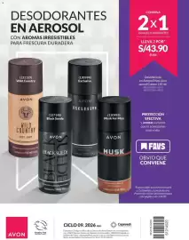 Catálogo Avon Página 253