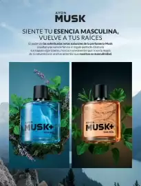 Catálogo Avon Página 7
