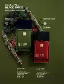 Catálogo Avon Página 93