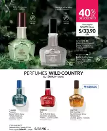 Catálogo Avon Página 95