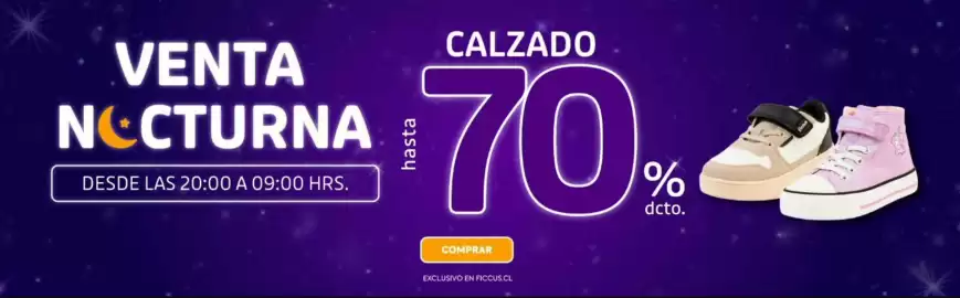 Catálogo Ficcus Página 2