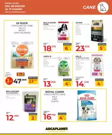Volantino Arcaplanet Pagina 17