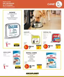 Volantino Arcaplanet Pagina 19