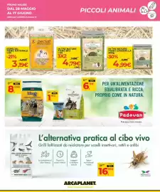 Volantino Arcaplanet Pagina 29
