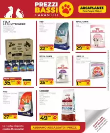 Volantino Arcaplanet Pagina 39
