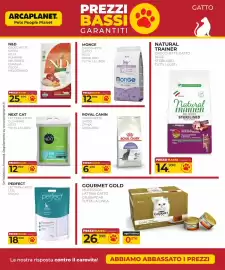 Volantino Arcaplanet Pagina 40