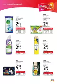 Dm Flugblatt Seite 10