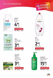 Dm Flugblatt Seite 4