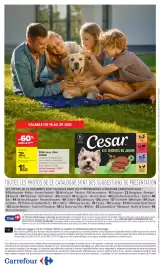 Catalogue Carrefour | Animalerie page 18