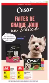 Catalogue Carrefour | Animalerie page 9
