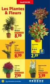 Catalogue Lidl semaine 23 page 26