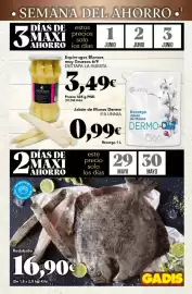 Folleto Gadis semana 22 Página 3
