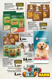 Folleto Gadis semana 22 Página 41