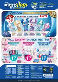 Volantino Ingroshop Pagina 8
