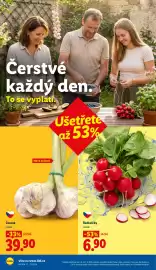 Lidl leták týden 23 Strana 10