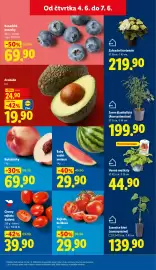 Lidl leták týden 23 Strana 11