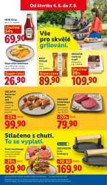 Lidl leták týden 23 Strana 15