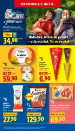 Lidl leták týden 23 Strana 25