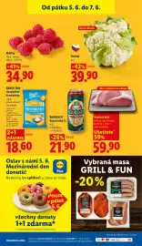 Lidl leták týden 23 Strana 43