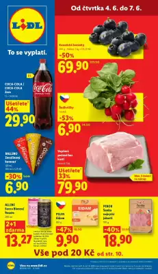Lidl (platné do 7-06)